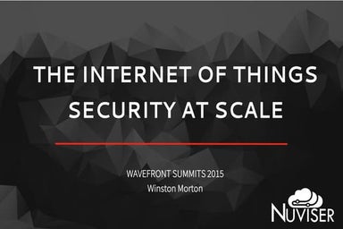 Iot Security and Privacy at Scale
