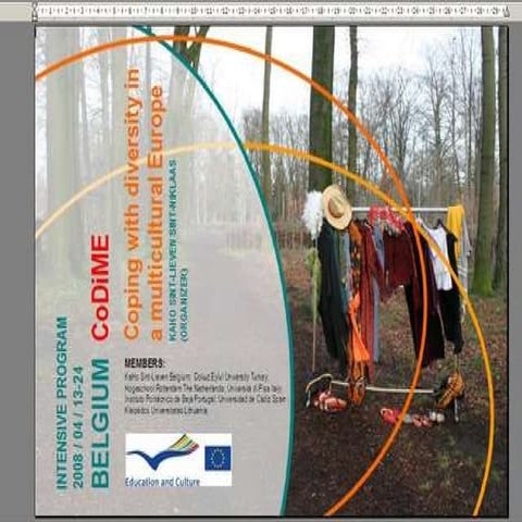 Ip Codime 08 Methodics