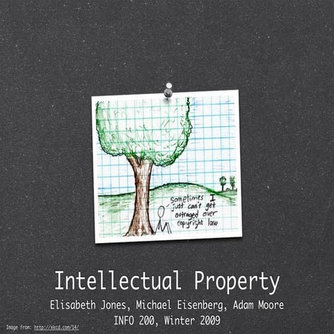Introductory Lecture on IP