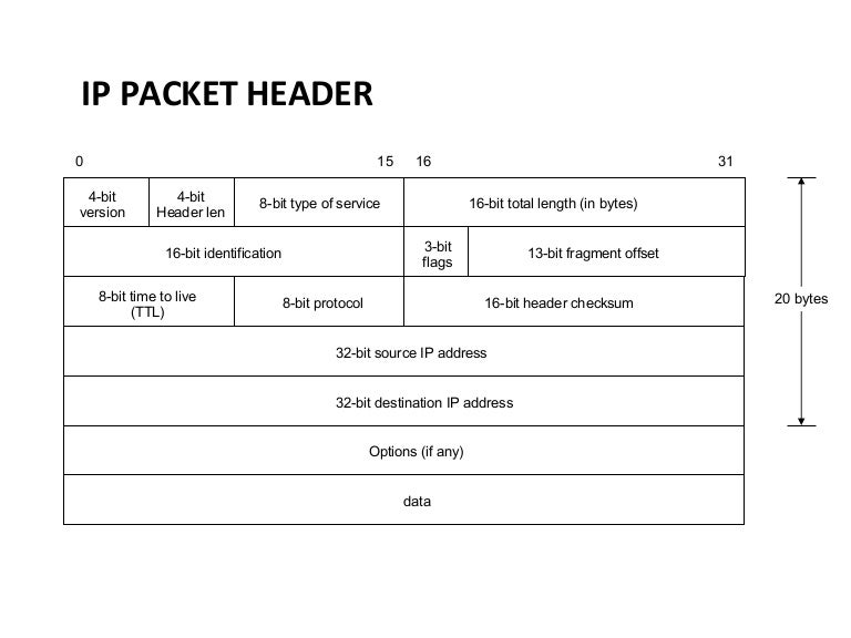 Ip Packet