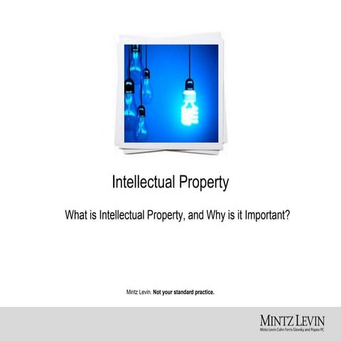 Intellectual Property: What is intellectual property, and why is it important? 