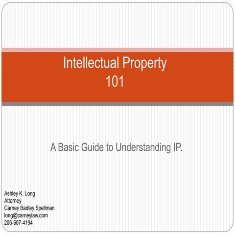Intellectual Property 101 - A Basic Guide to Understanding IP.