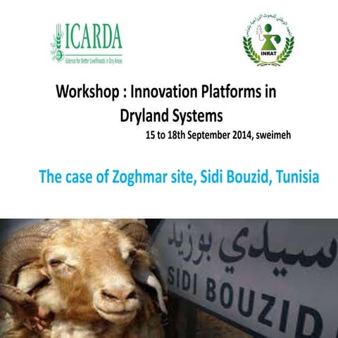 Innovation Platforms in Zoghmar