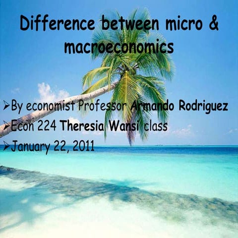 Basic Microeconomics | PDF