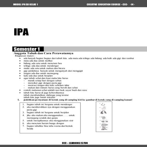CONTOH MODUL CEC IPA 1 SD | DOCX