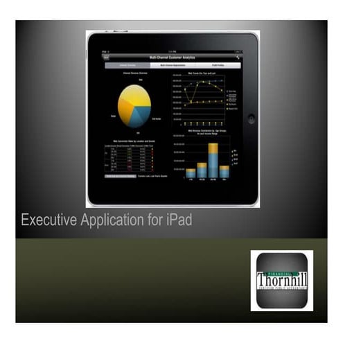 Ipad executive application