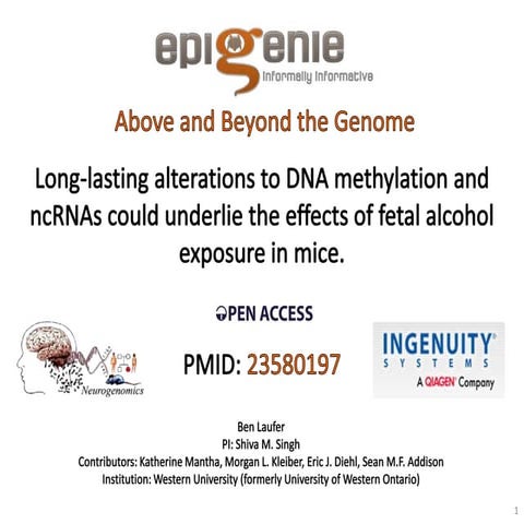 Long-lasting alterations to DNA methylation and ncRNAs could underlie the eff...