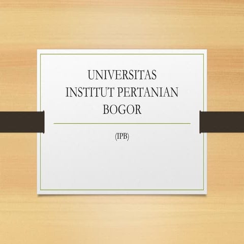 IPB.pptxMMMMMMMMMMMMMMMMMMMMMMMMMMMMMMMMM | PPTX