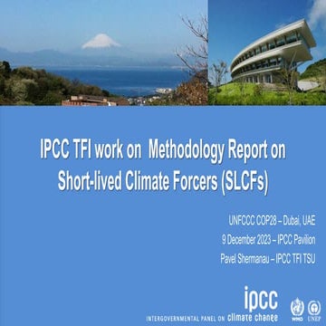 IPCC TFI work on Methodology Report on Short-lived Climate Forcers ...