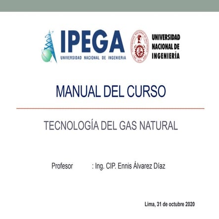 Ipega tecnología del gas natural | PDF