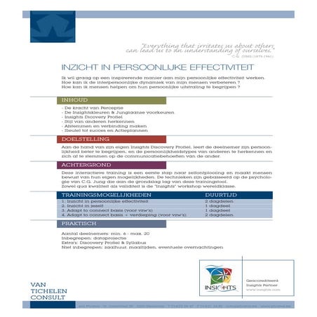 J Prins - Het JDR Model | PDF