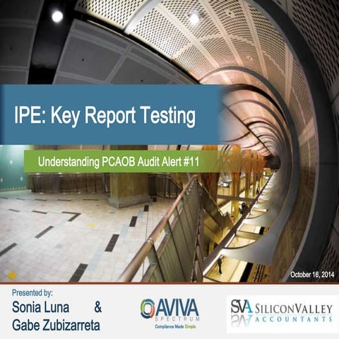 IPE Webinar with Sonia Luna-Aviva Spectrum-10/16/14