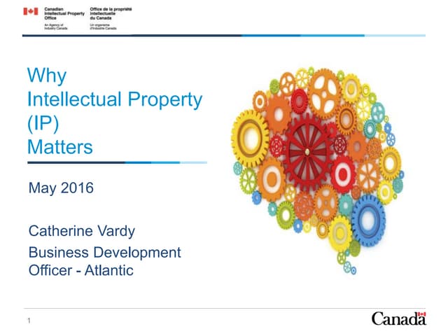 IP Matters