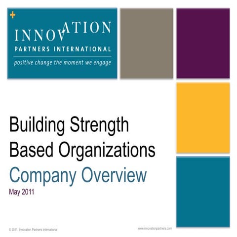 IPI Overview of What We Do