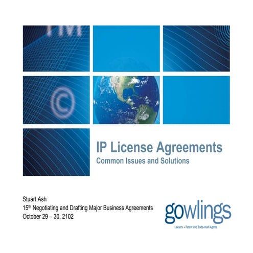 IP License Agreements: Common Issues and Solutions