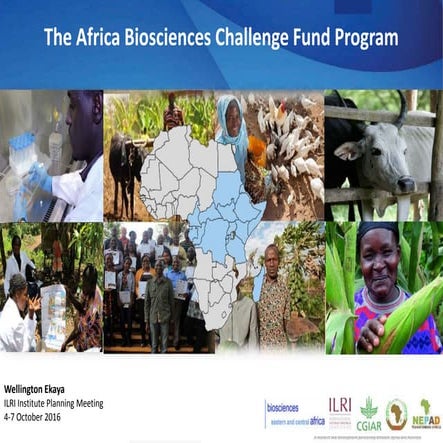 The Africa Biosciences Challenge Fund Program