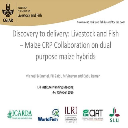 Discovery to delivery: Livestock and Fish – Maize CRP Collaboration on dual p...