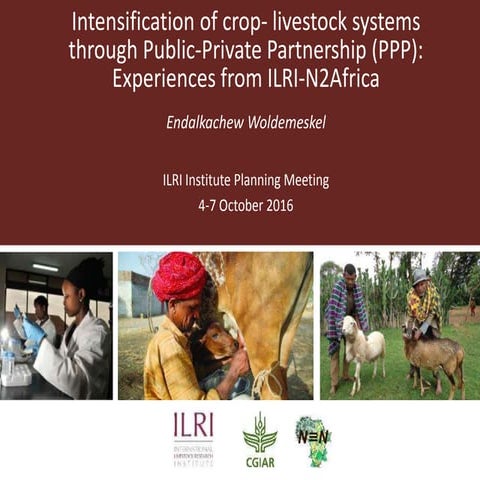 Intensification of crop-livestock systems through Public-Private Partnership ...