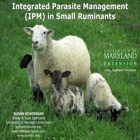 Integrated parasite management (IPM) in small ruminants