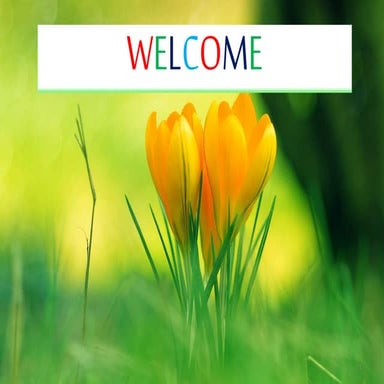 Ipm brinjal methi okra