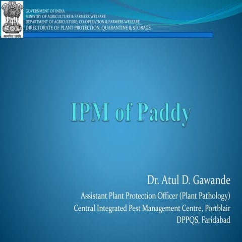 ipm Paddy.pptx