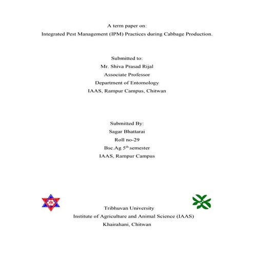 IPM practices for cabbage in Nepal