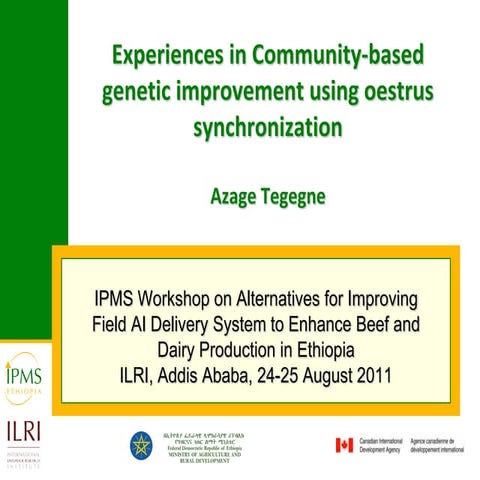 Experiences in community-based genetic improvement using oestrus synchronization