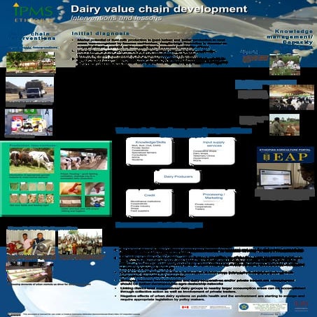 Dairy value chain development: interventions and lessons