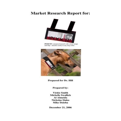 Marketing Research Project - iPooch Product Launch