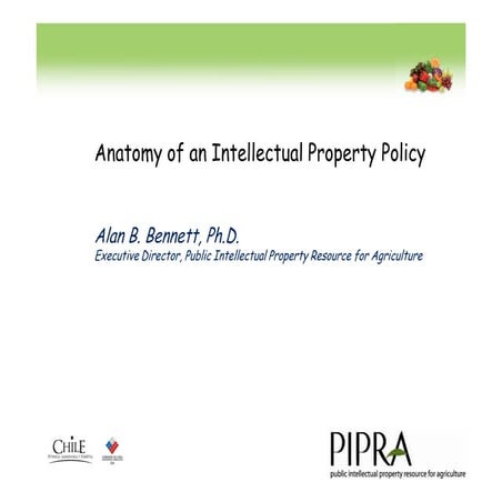 IP Policy | PDF