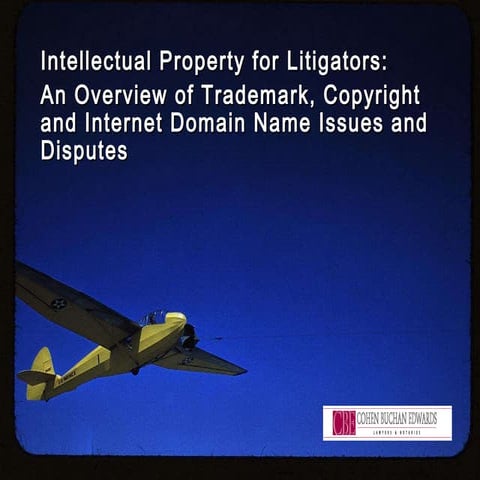 IP Litigation Overview Presentation