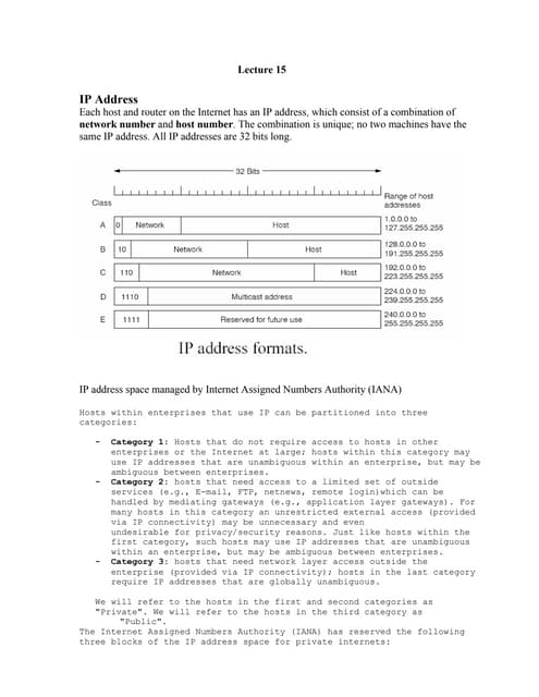 IP Datagram Structure | PDF