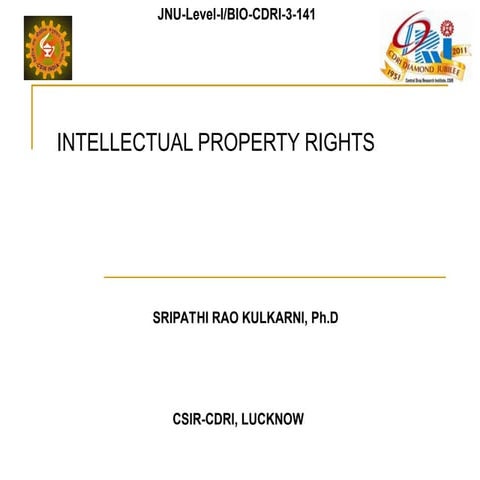 Intellectual Propert Rights: a brief overview