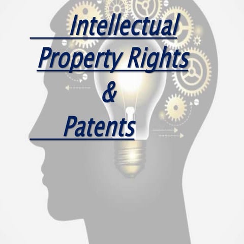 INTELLECTUAL PROPERTY RIGHTS