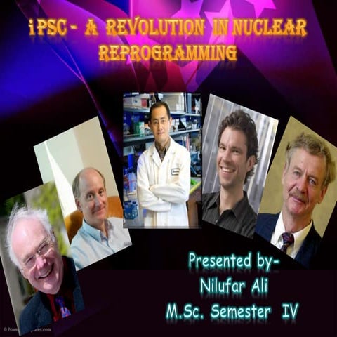 Overview of viruses and their properties | PDF