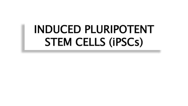 Induced Pluripotent Stem Cells (iPSCs)