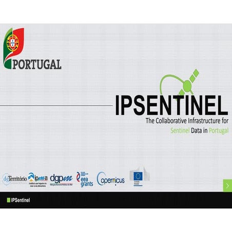 How to download Sentinel 2 satellite data | PDF