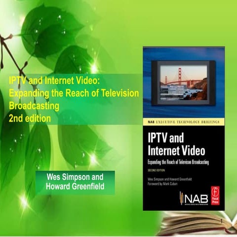 Iptv dan internet video business model