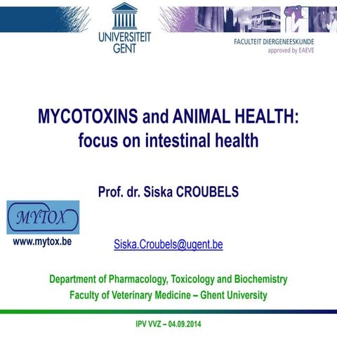 MYCOTOXINS and ANIMAL HEALTH: focus on intestinal health
