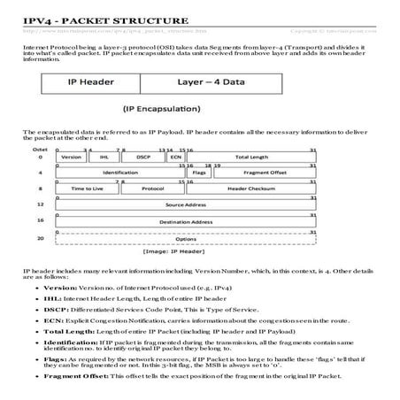 Ipv4 packet structure | PDF