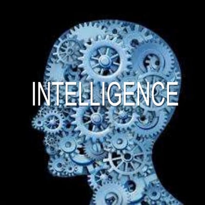 Intelligence Quotient
