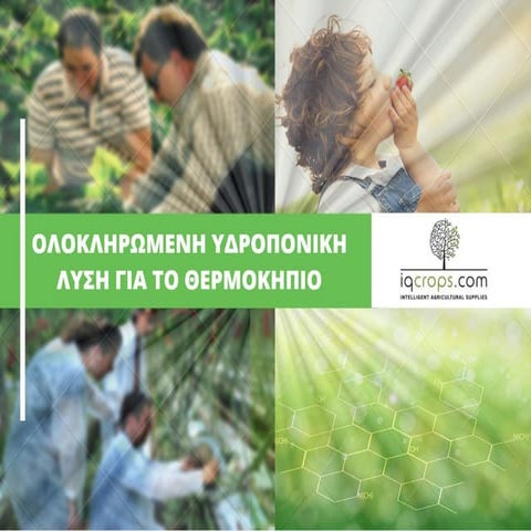 IQ CROPS Integrated Hydroponic Solution Catalogue