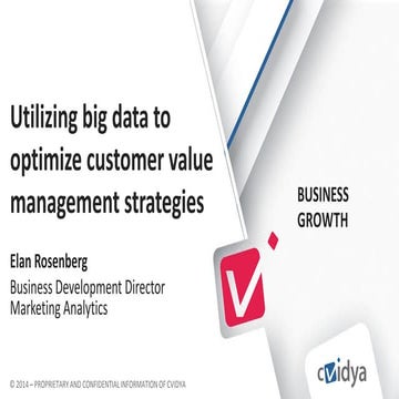 Utilizing Big Data to Optimize Customer Value Management Strategies