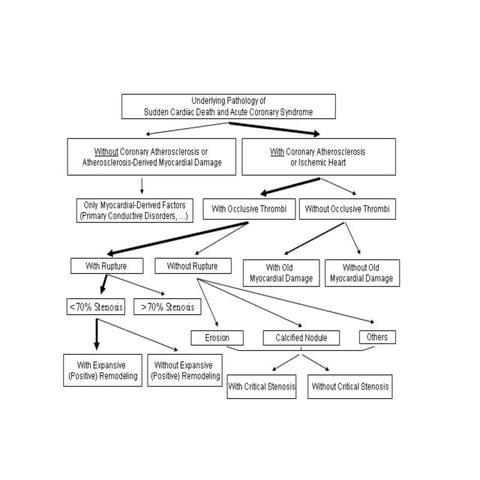 150 sudden pathology of sudden cardiac death