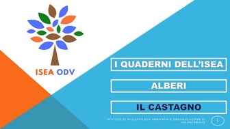 I QUADERNI DELL'ISEA - ALBERI - IL CASTAGNO.pptx
