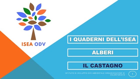 I QUADERNI DELL'ISEA - ALBERI - IL CASTAGNO.pptx