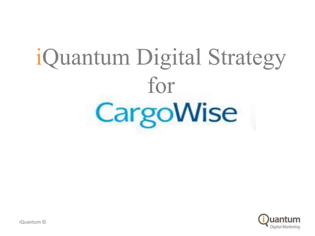 IQuantum  Online Marketing Strategy