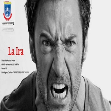 La Ira, Presentación