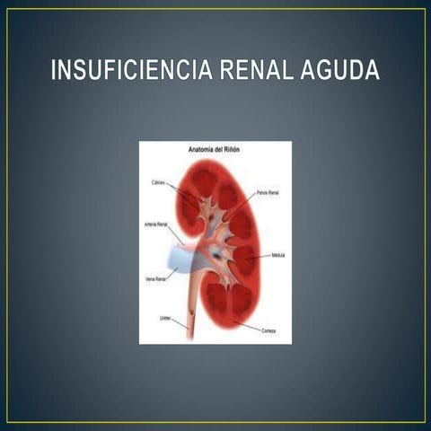 Insuficiencia renal aguda