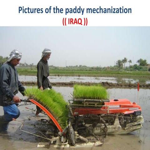 Iraq Paddy Mechanization Photos
